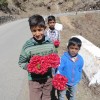 049 Rhododendron von Kindern angeboten.JPG